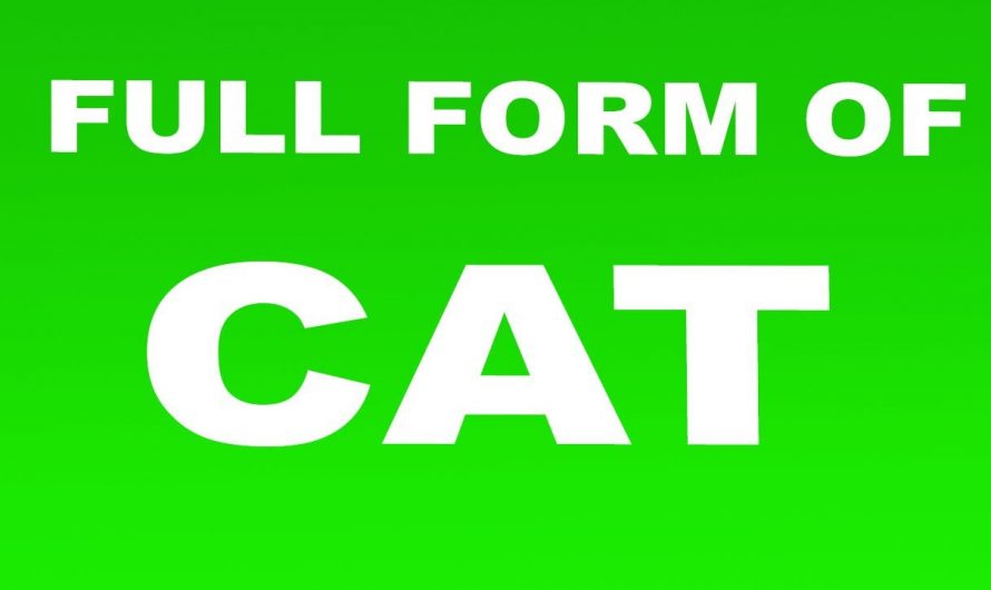 What Is CAT full form? Let Us Dive Into CAT and Its Properites