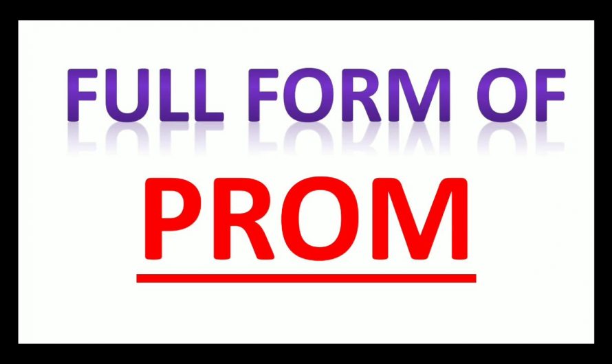 What is PROM full form? Also Know About ROM and SROM
